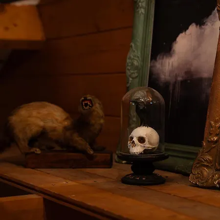 Sleeping Among The Sheep At Vrouwtje Poppy Сasa de vacaciones