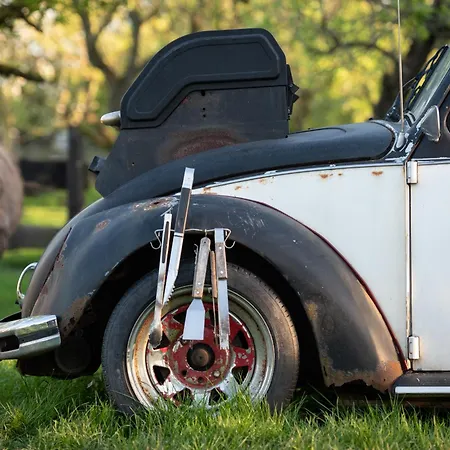 Ferienhaus Sleeping Among The Sheep At Vrouwtje Poppy *