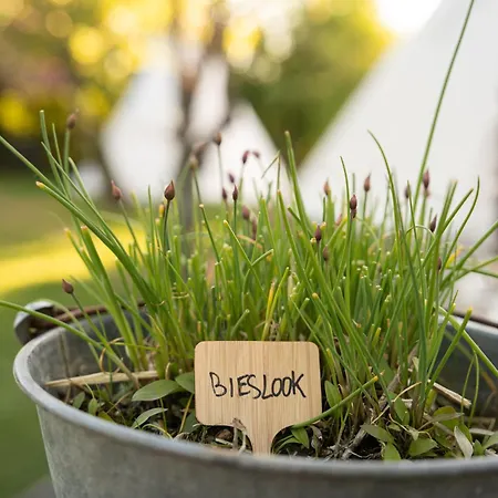 Holiday home Sleeping Among The Sheep At Vrouwtje Poppy