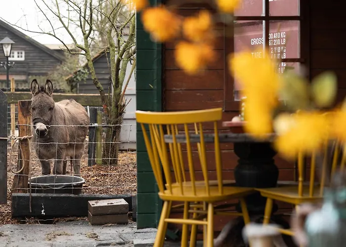 Sleeping Among The Sheep At Vrouwtje Poppy Сasa de vacaciones Zennewijnen