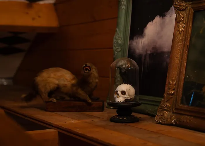 Sleeping Among The Sheep At Vrouwtje Poppy Сasa de vacaciones