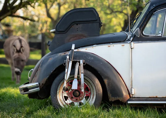 Сasa de vacaciones Sleeping Among The Sheep At Vrouwtje Poppy *
